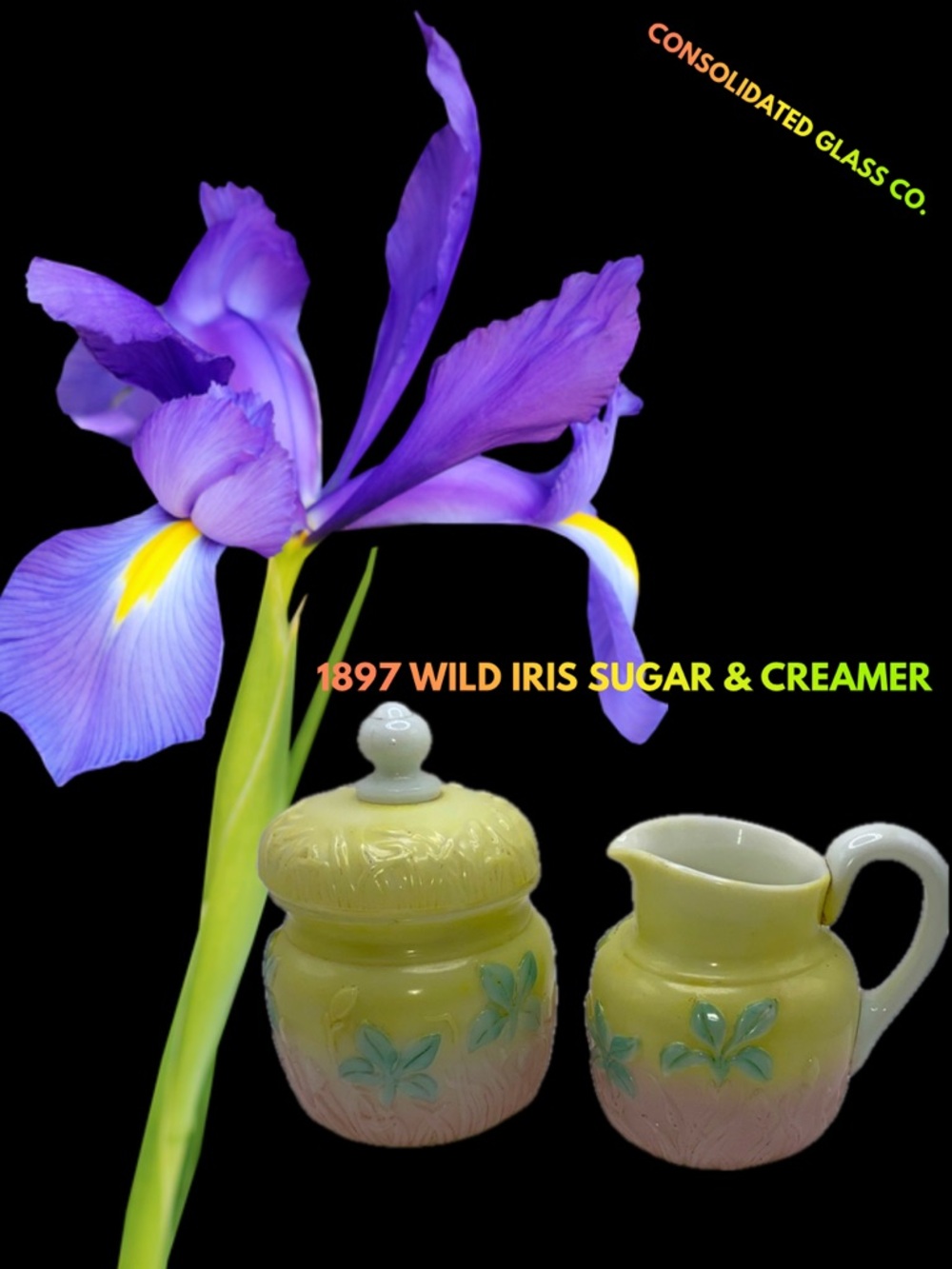 1897 ULTRA RARE Wild Iris Pink/Yellow Consolidated Glass Co. Sugar & Cre…